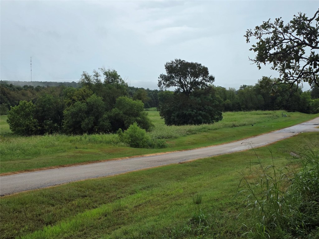 Picture 30