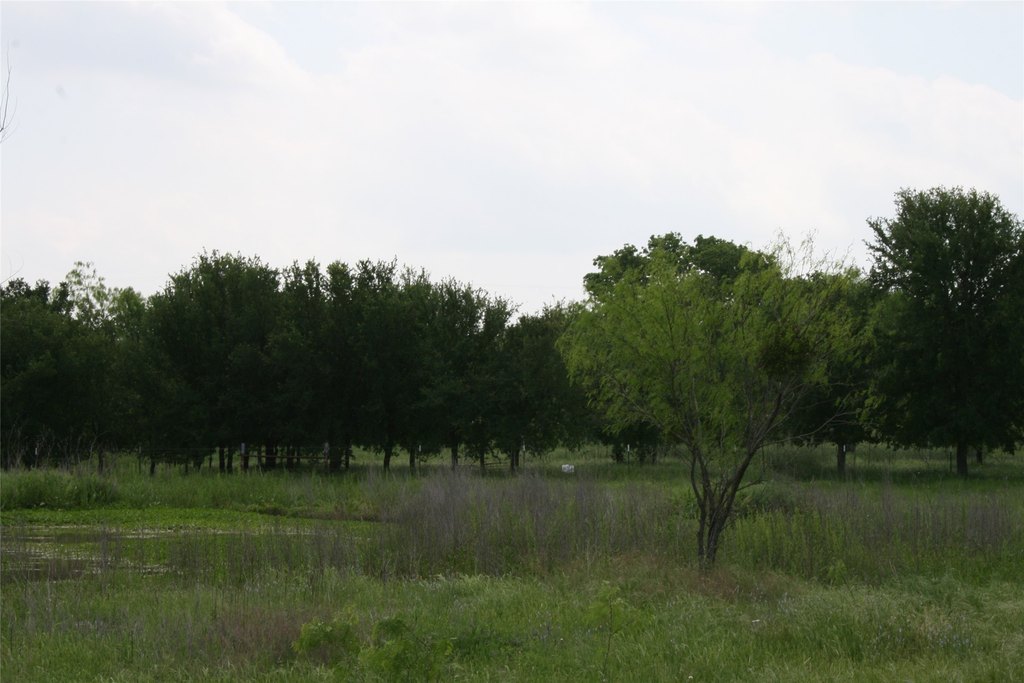Picture 8