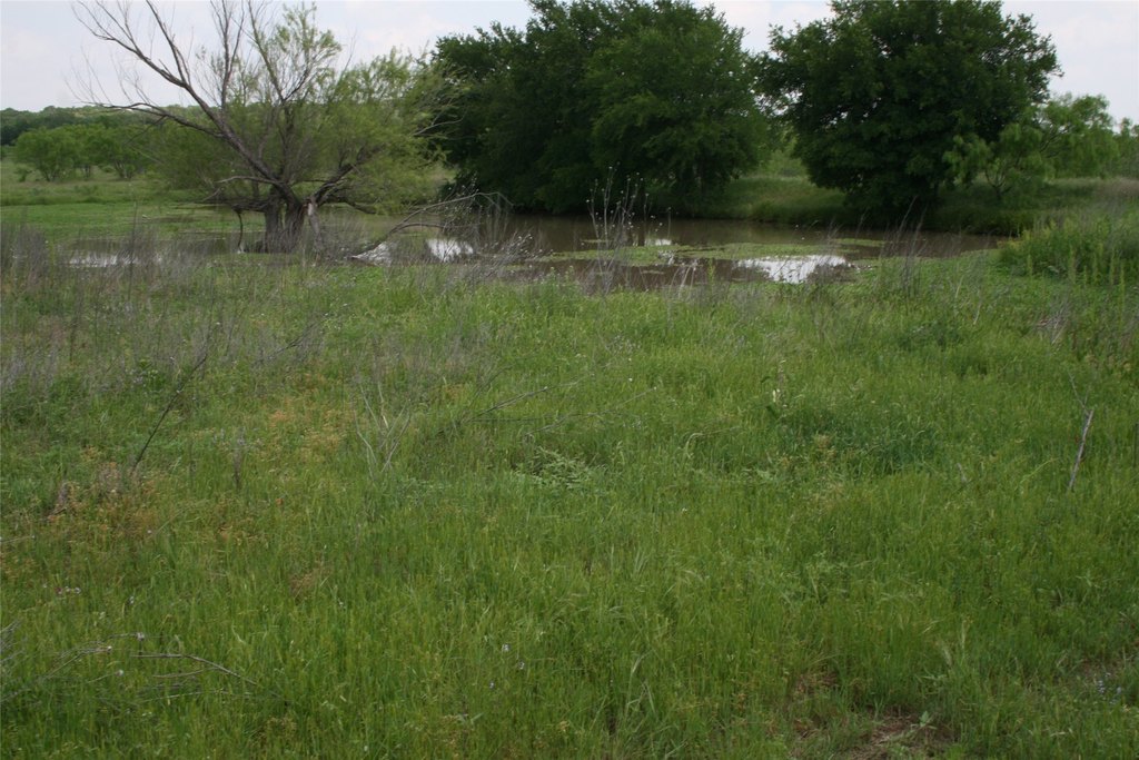Picture 12