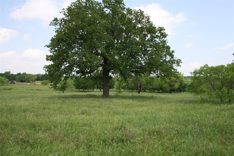 Land with Pond and Utilities
