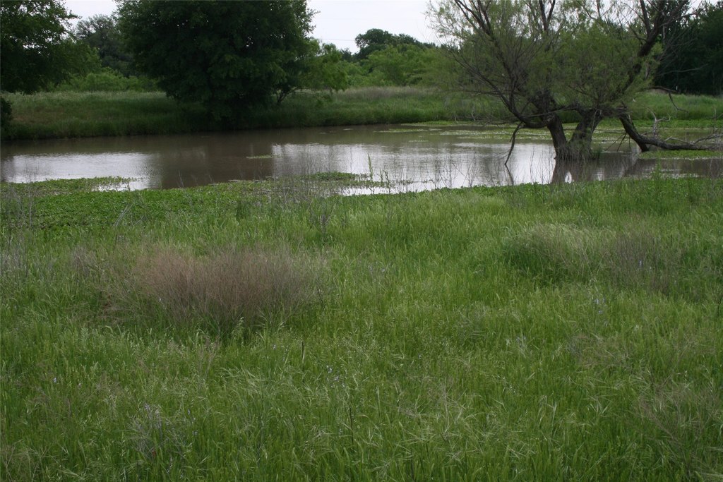 Picture 14