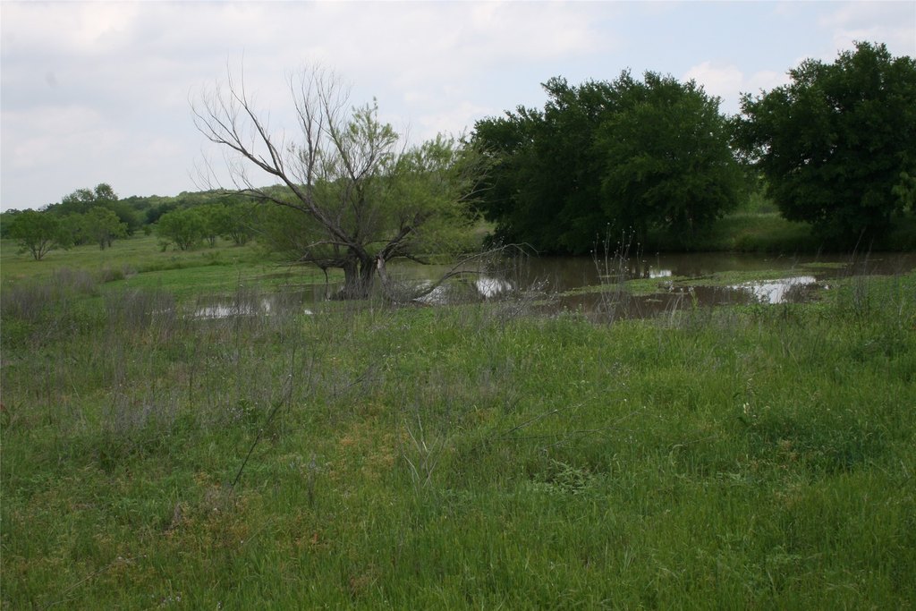 Picture 11