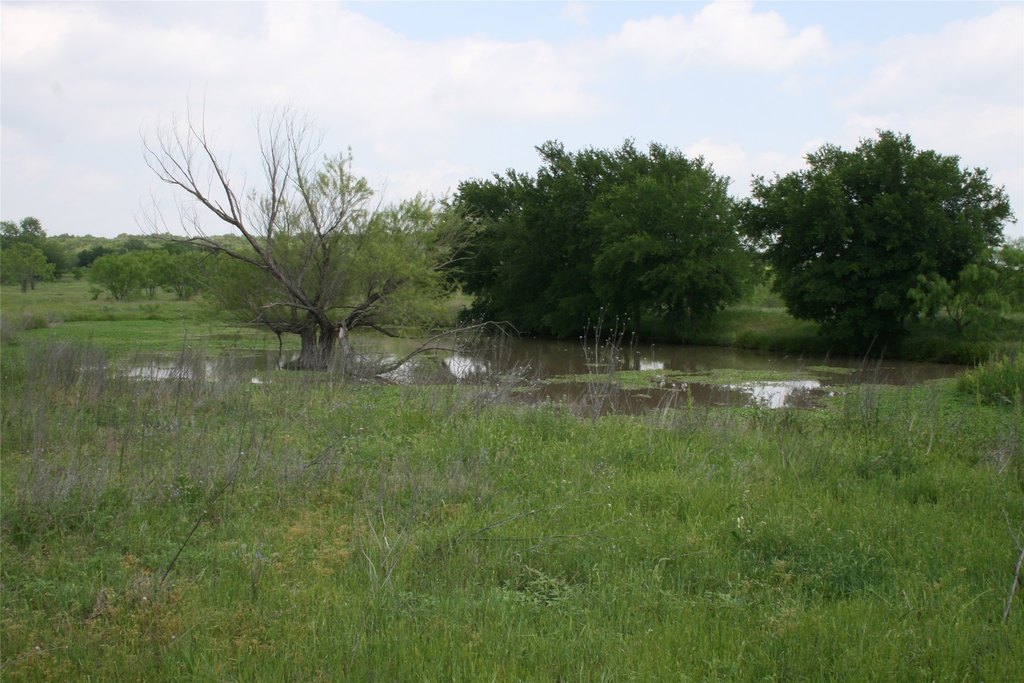Picture 10