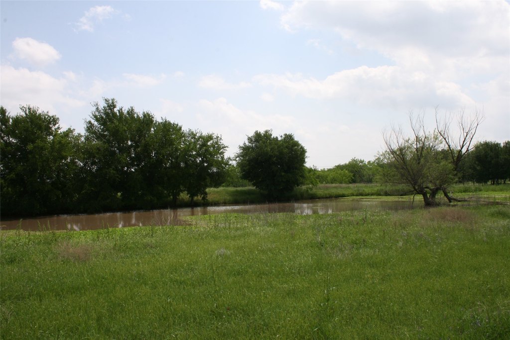 Picture 15