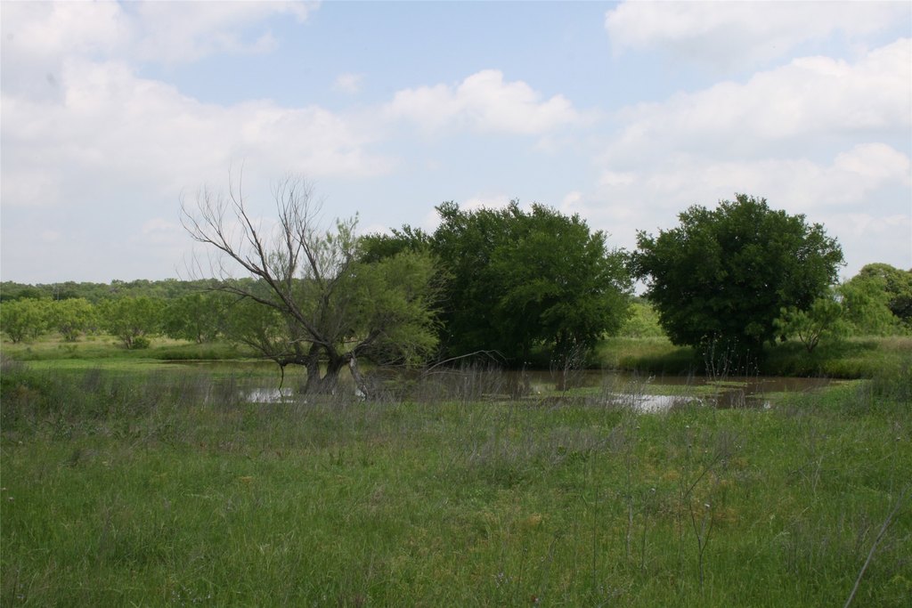 Picture 9