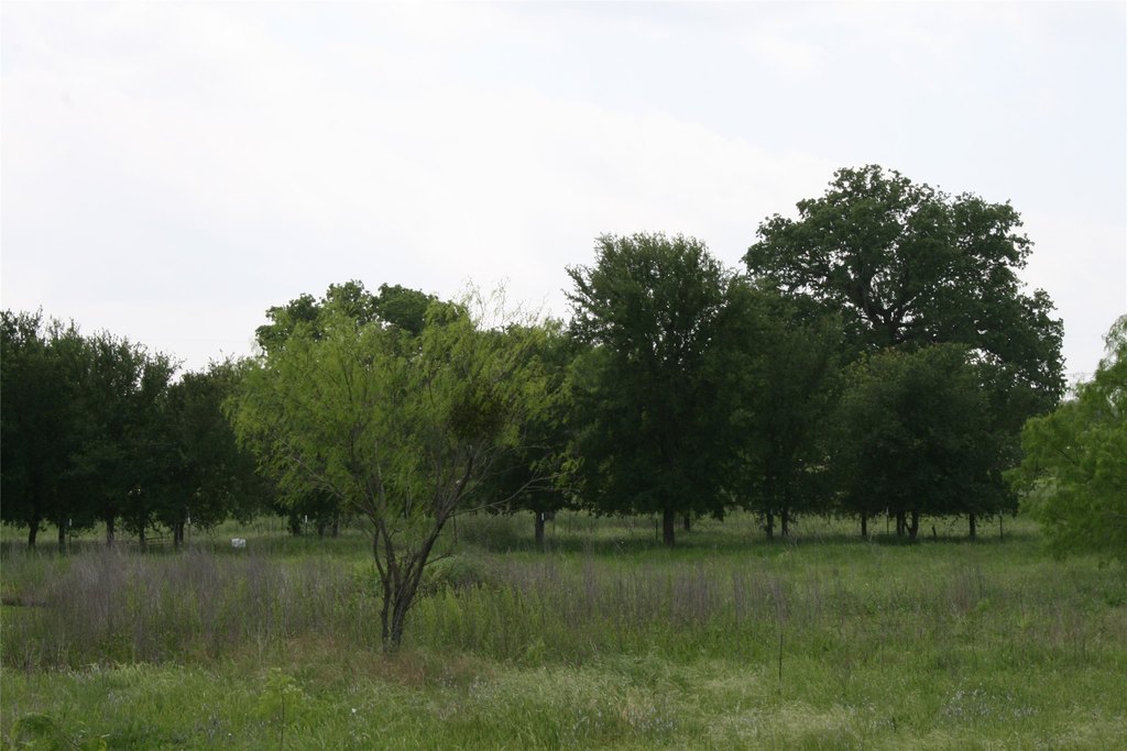 Picture 16