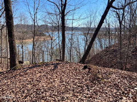 Lakefront Lot in Gated Community