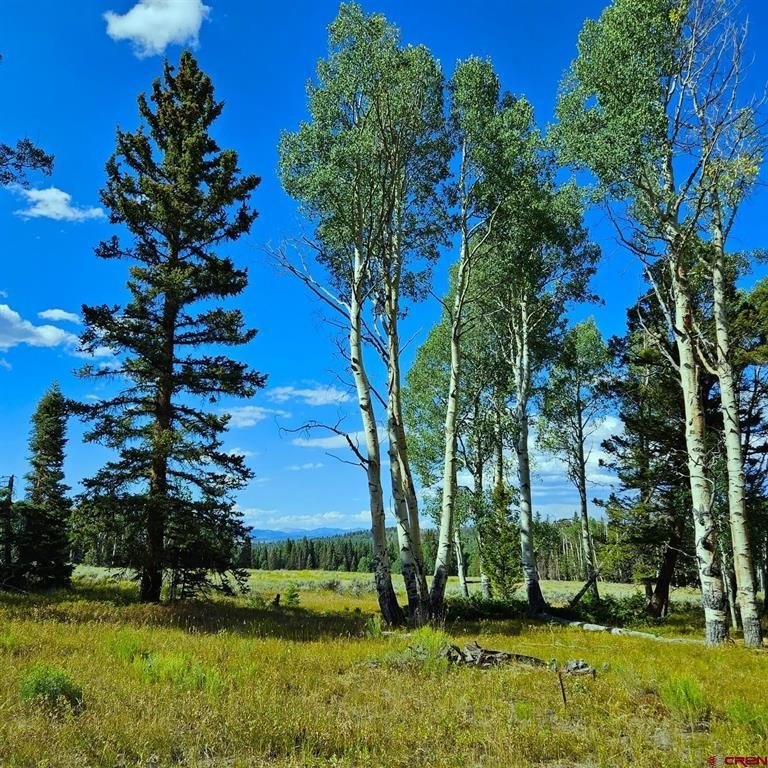 Land For Sale Cimarron, CO