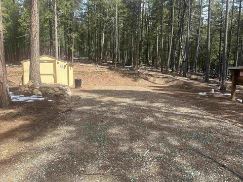 Forested Land near Quincy, CA