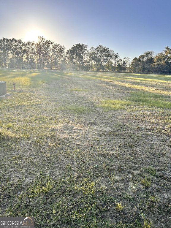 Picture 8