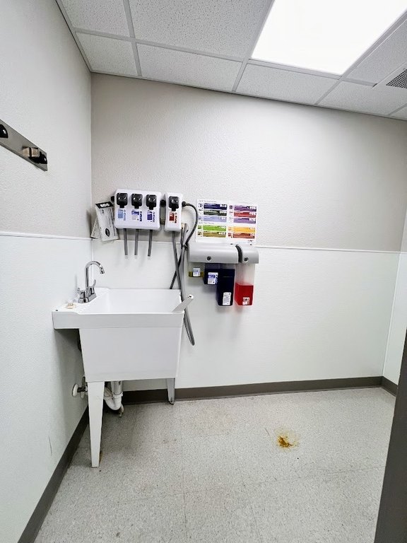 Picture 30