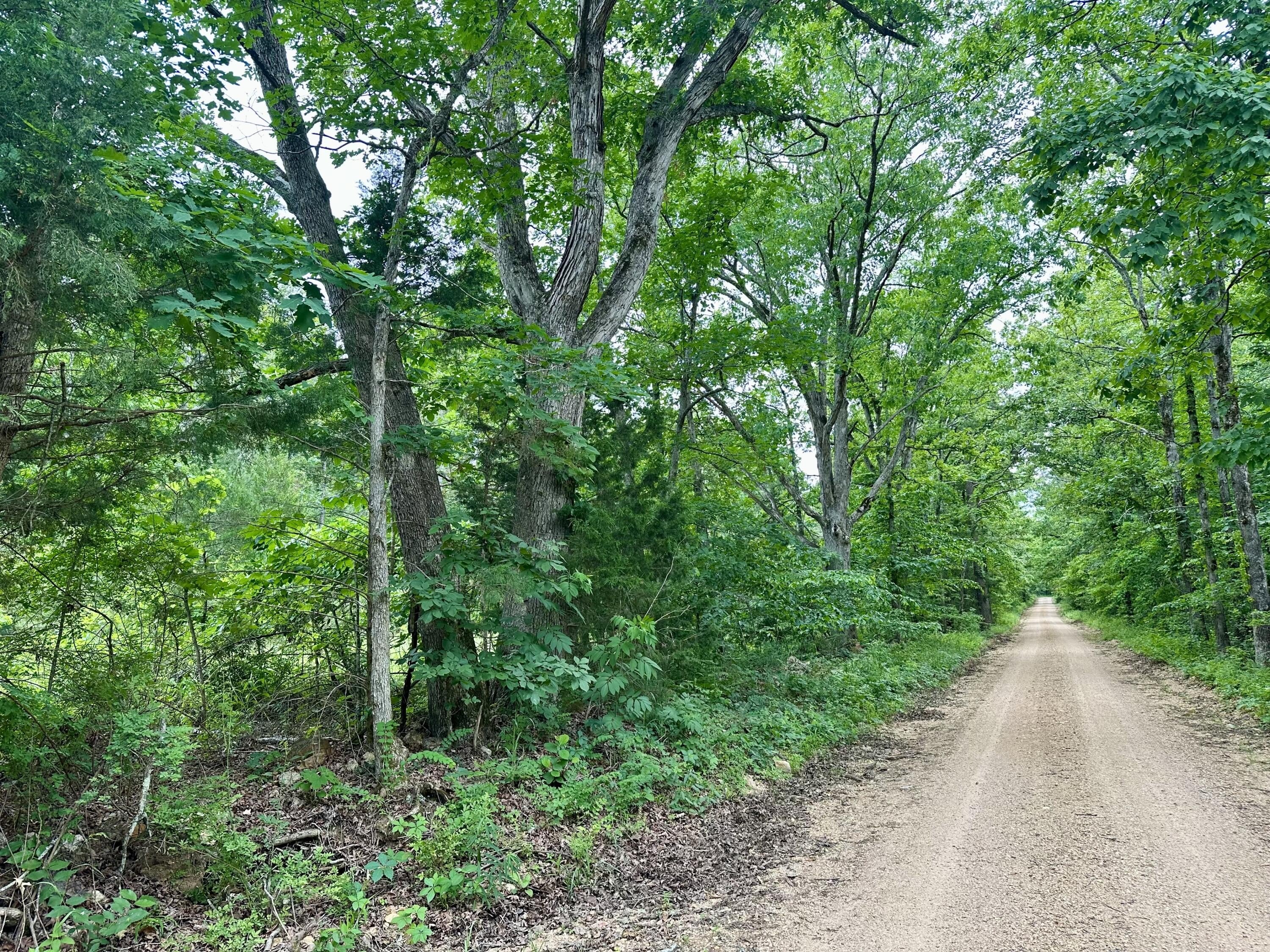 Ozarks Land with Forest Access