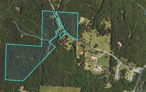 Rolling Timbered Land Tract