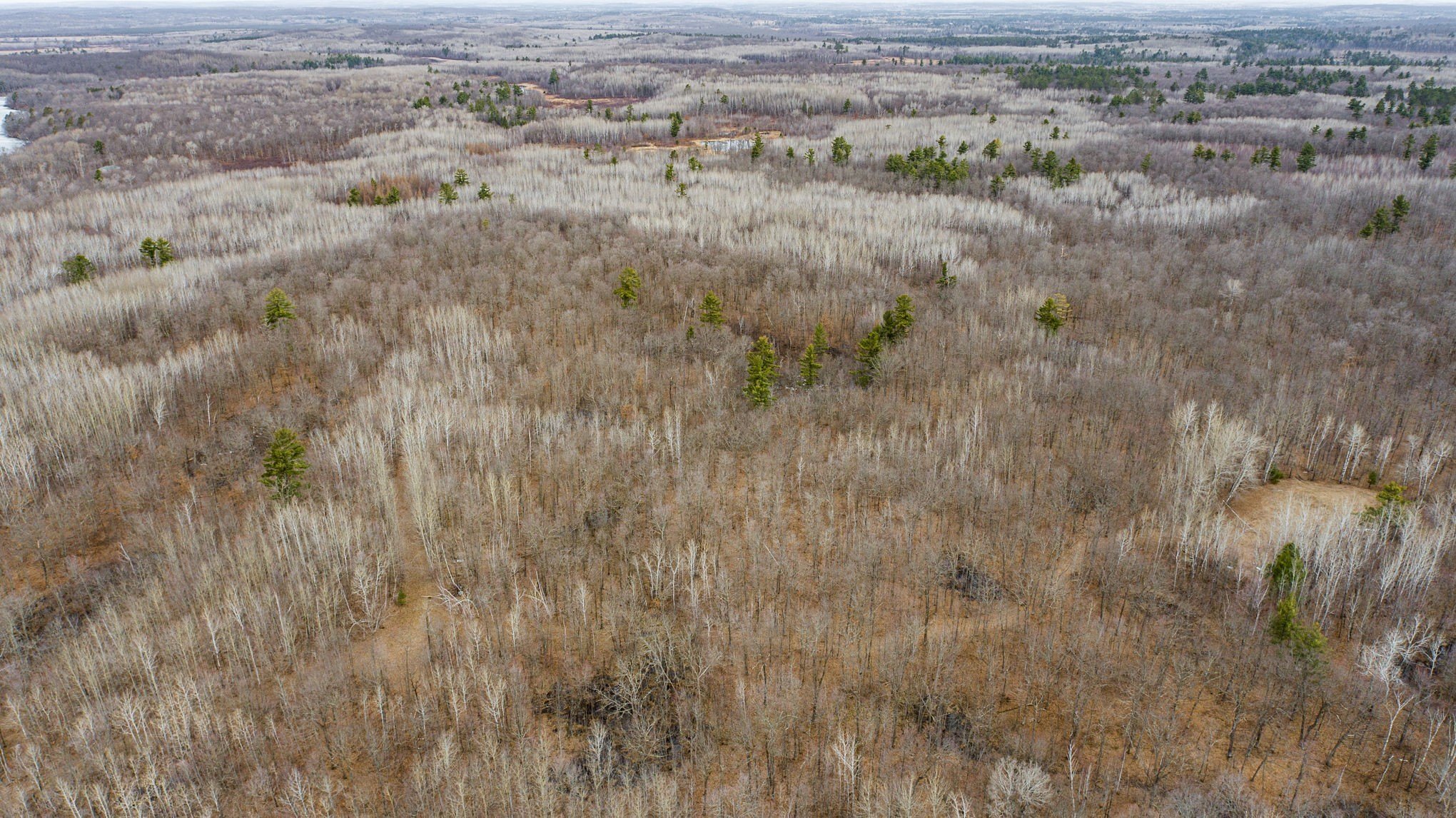 Spooner Land with Cabin