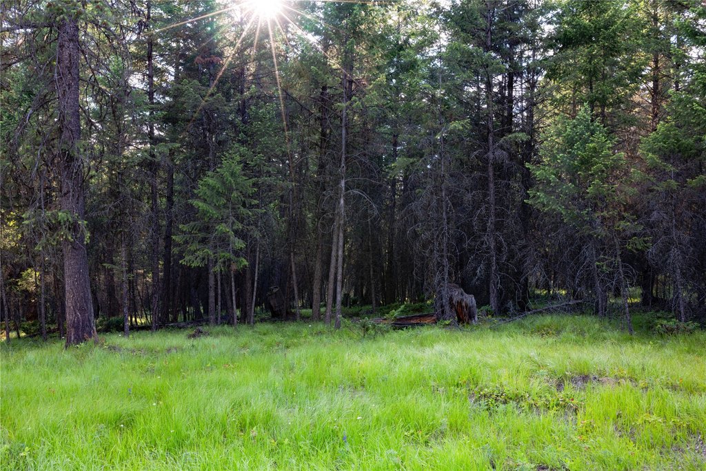 Picture 8