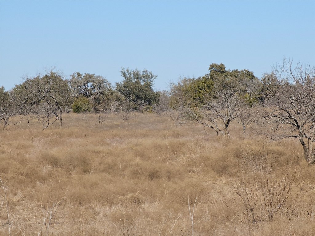 Picture 14