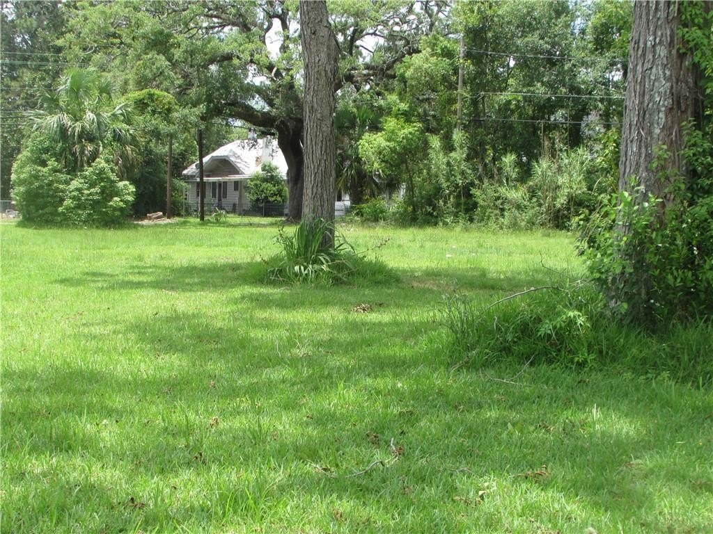 Picture 2