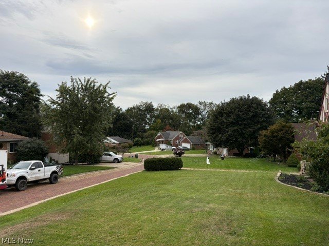 Picture 6
