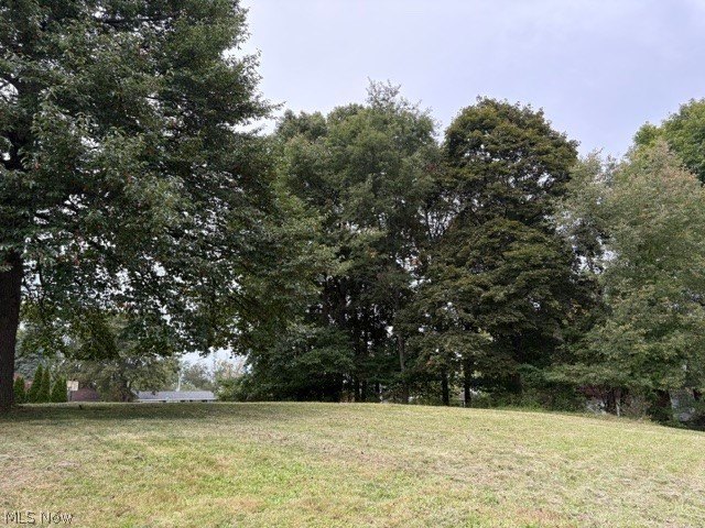 Picture 7