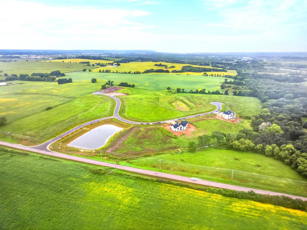 Picture 4