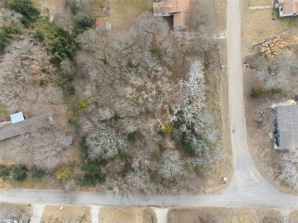 Picture 6