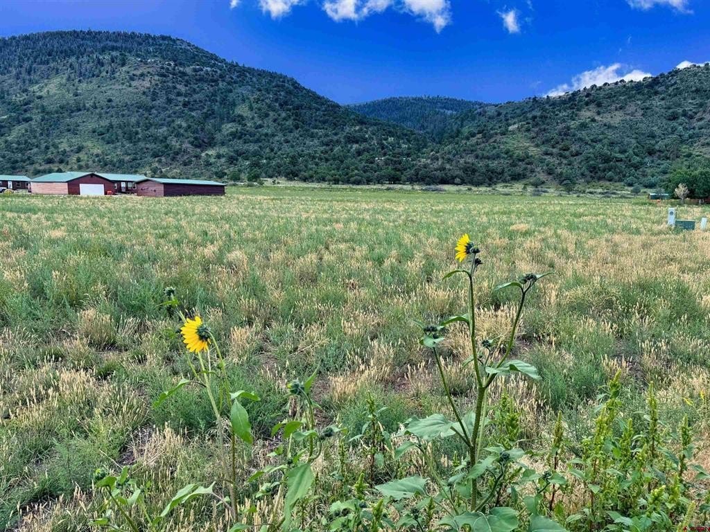 Land in South Fork, CO