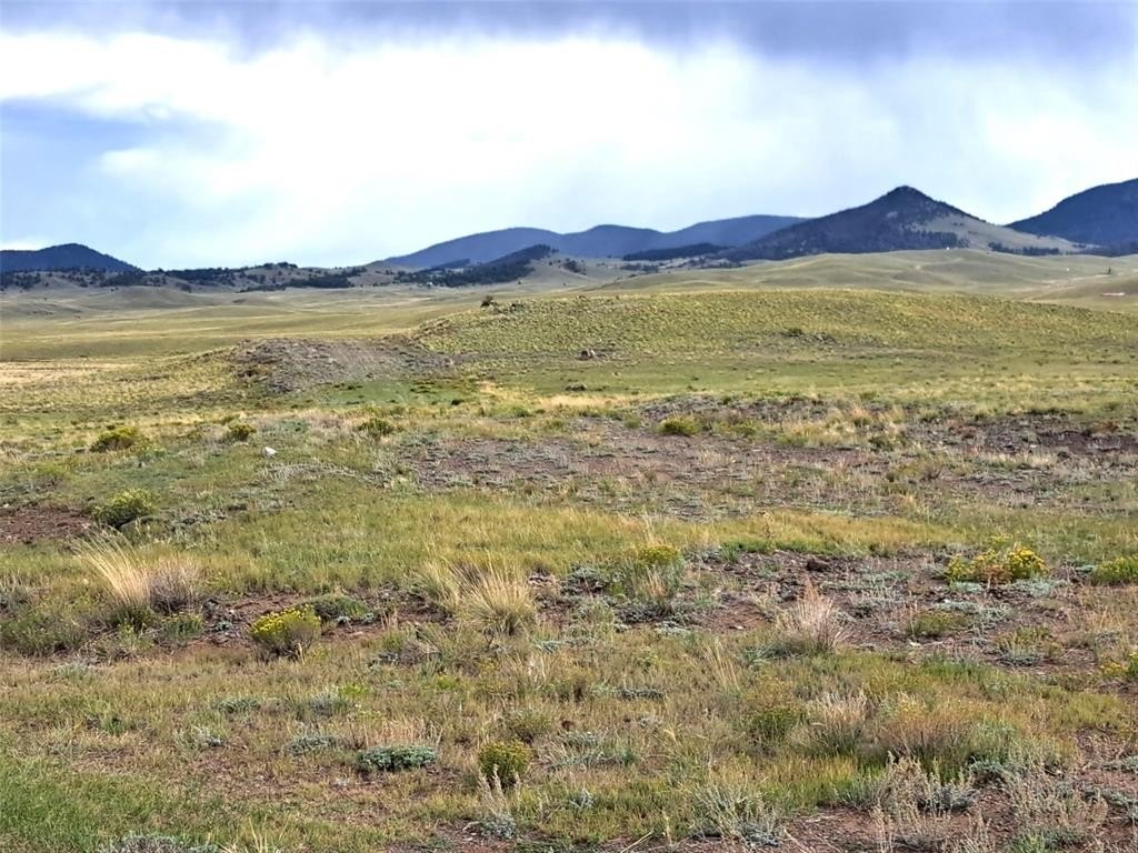 Picture 10