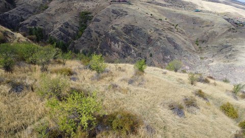 Land, White Bird, ID