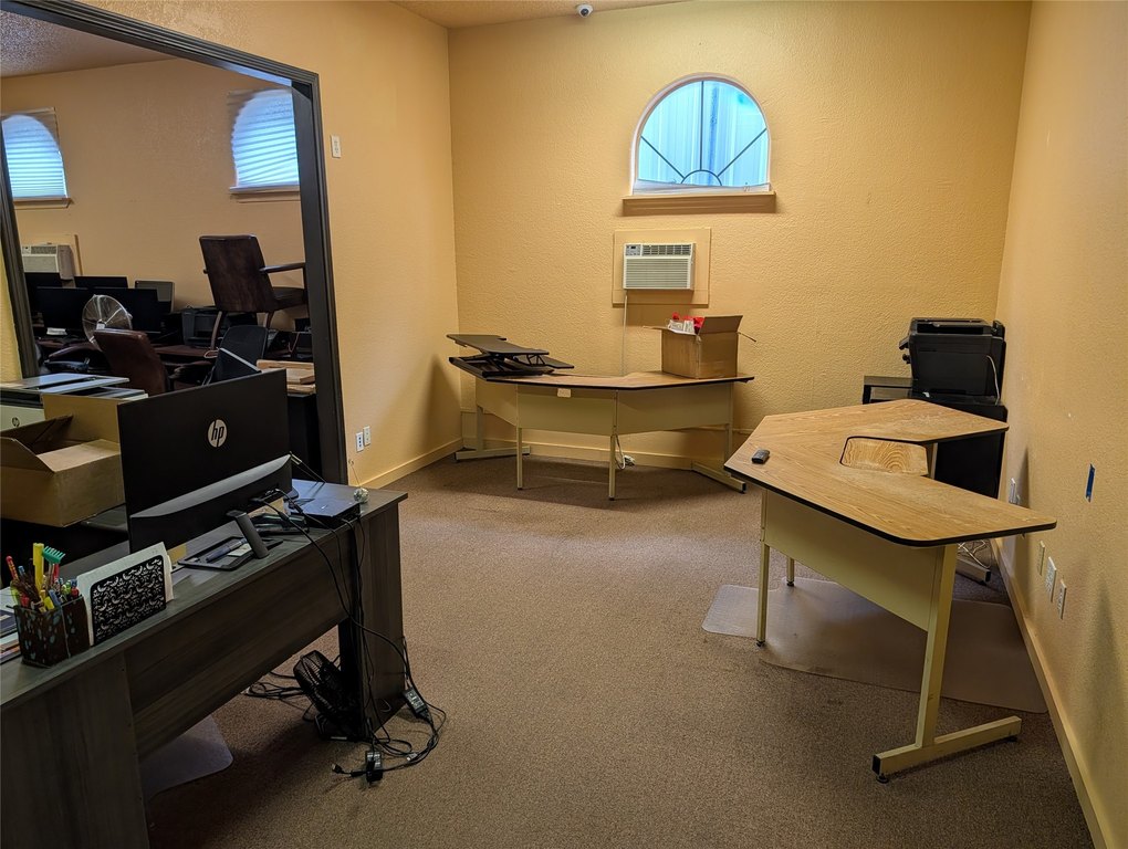 Picture 8