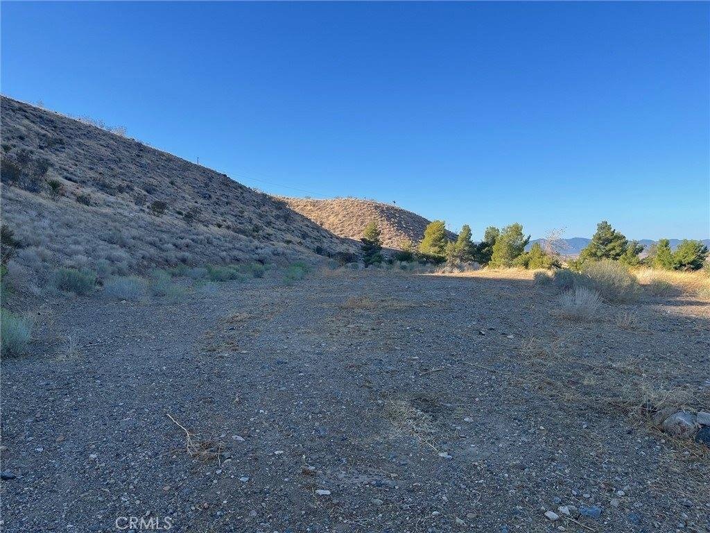 Picture 8