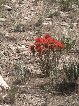 Montello, NV Land Opportunity