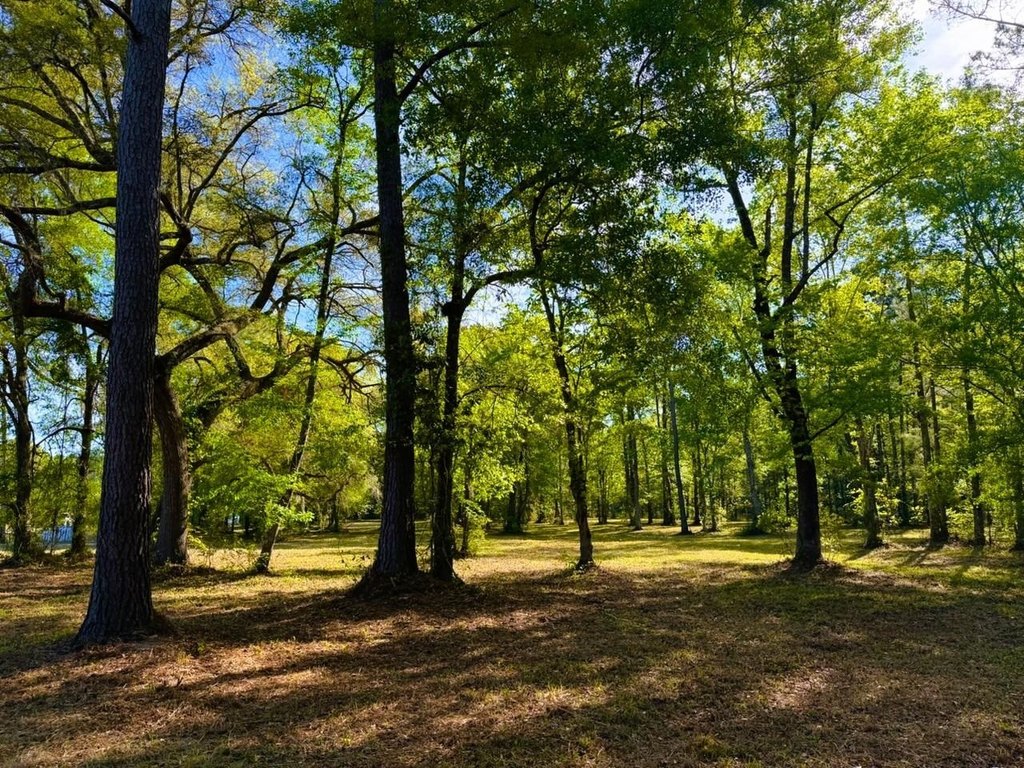 Picture 25