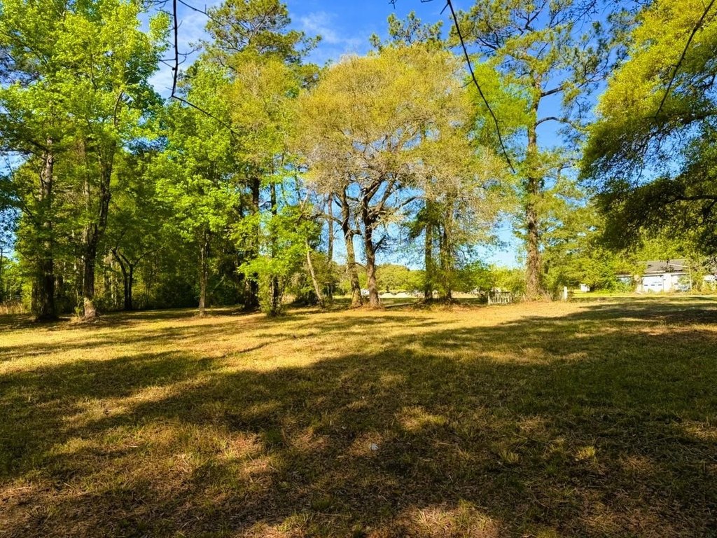Picture 18