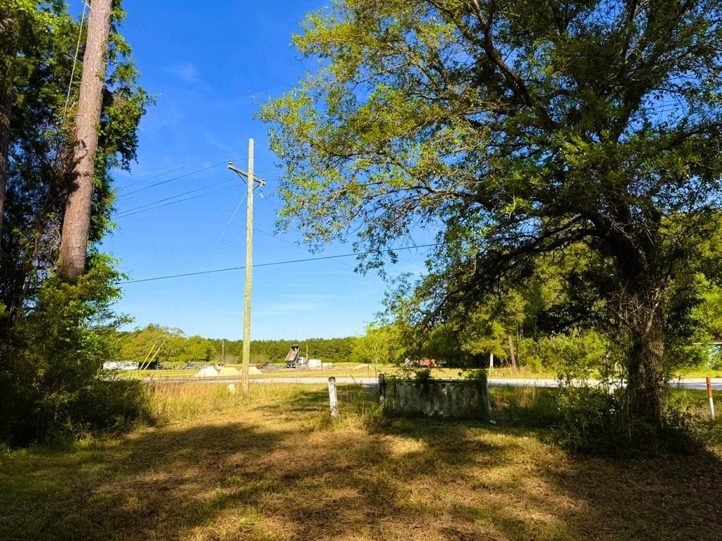 Picture 23