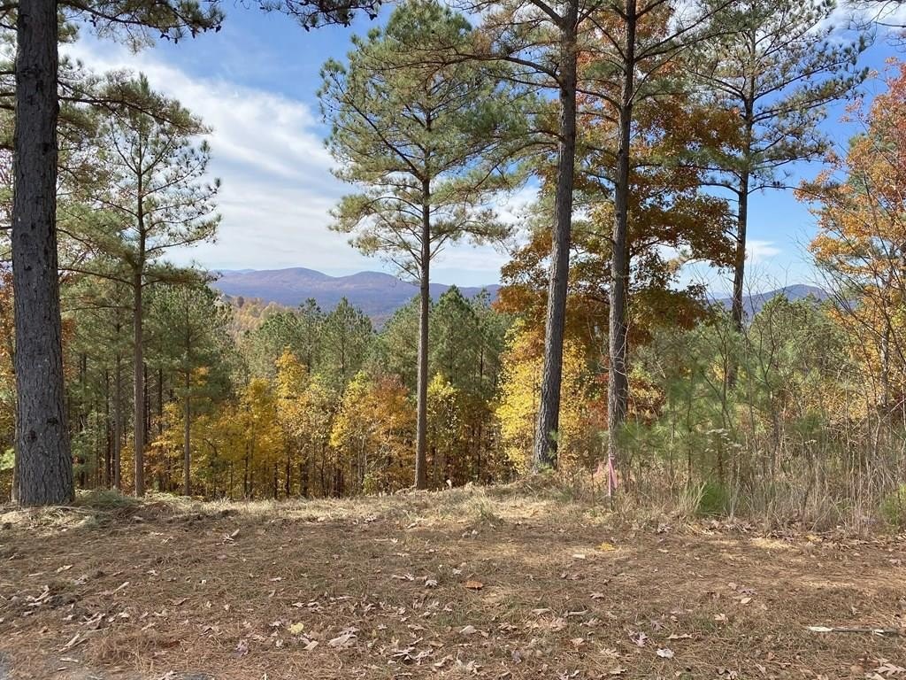 Blairsville Vacant Lot with Mountain Views