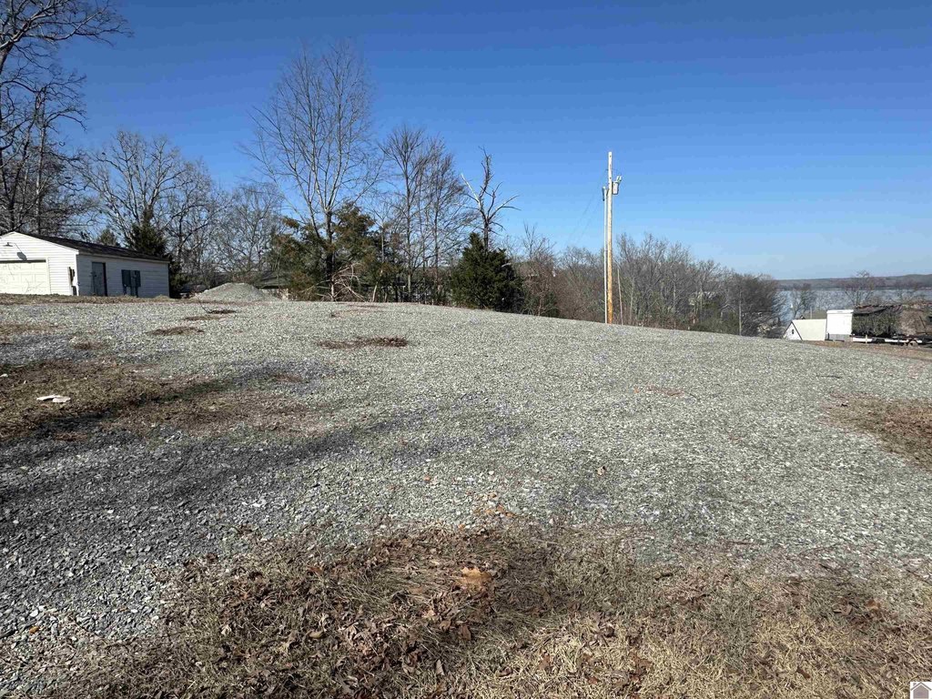 Picture 12