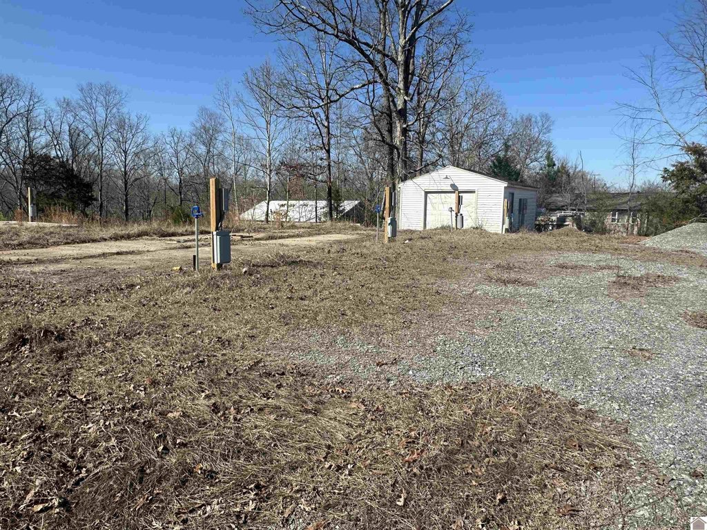 Picture 11