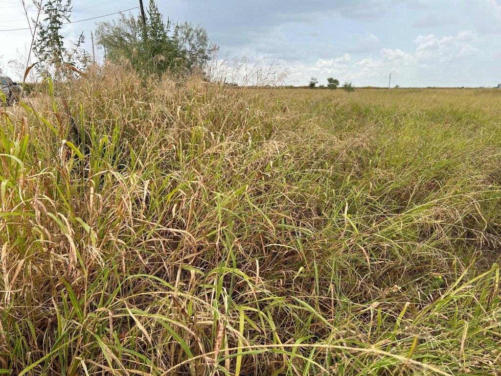 Picture 11