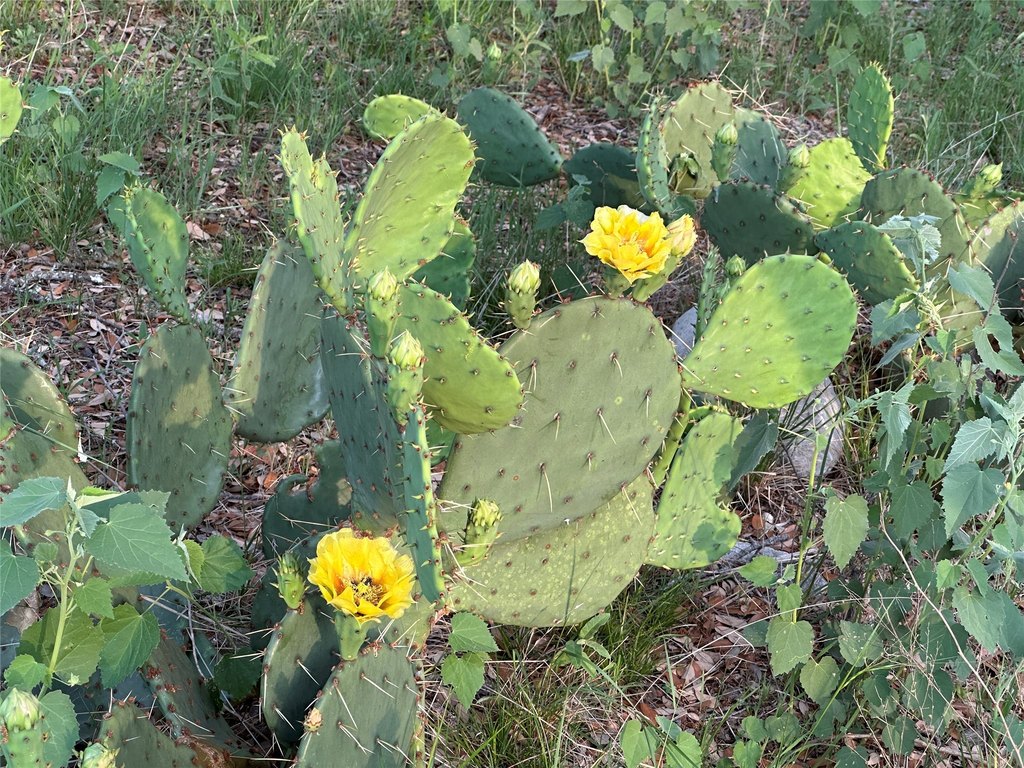Picture 8