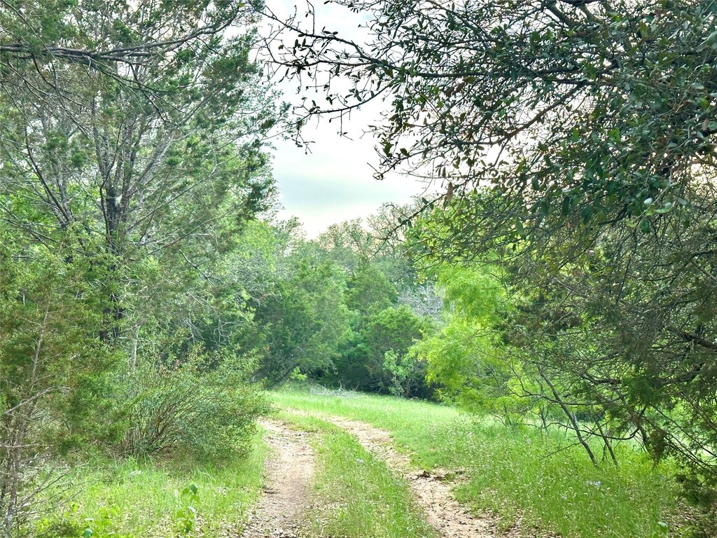 Picture 26