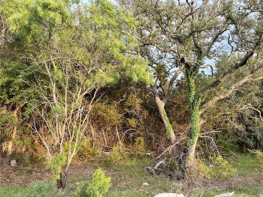 Picture 23