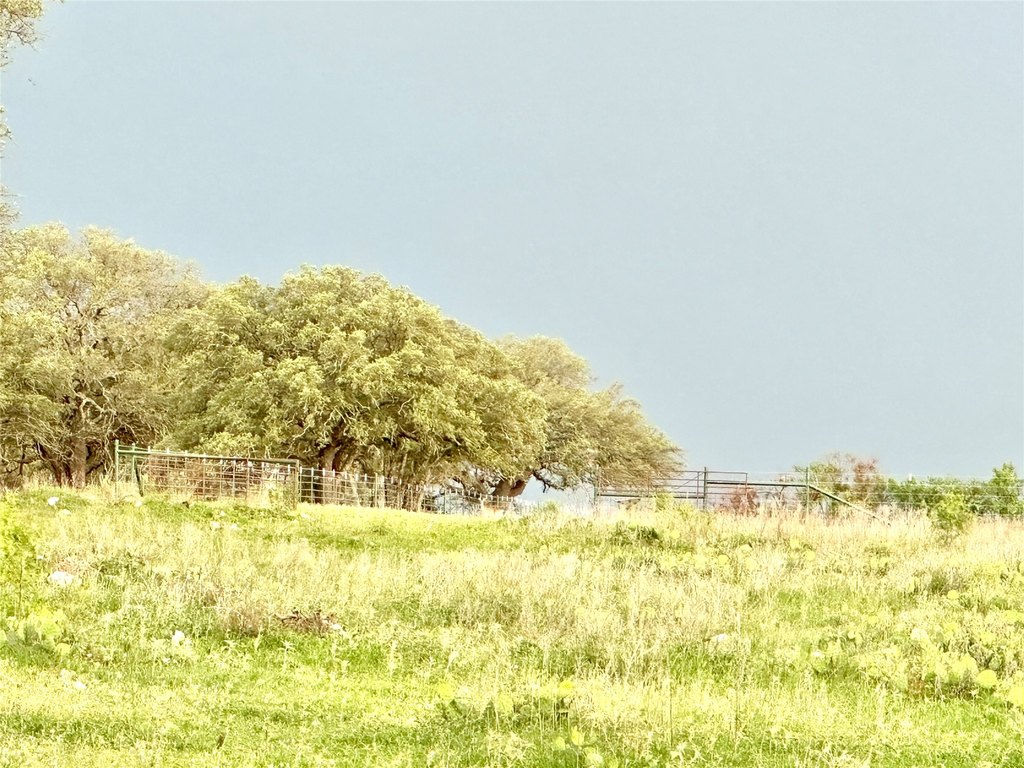 Picture 38