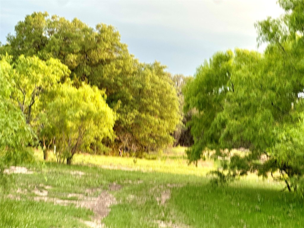 Picture 17
