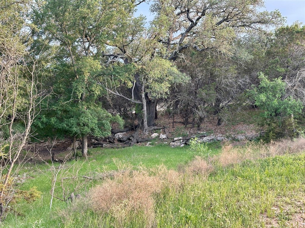 Picture 22