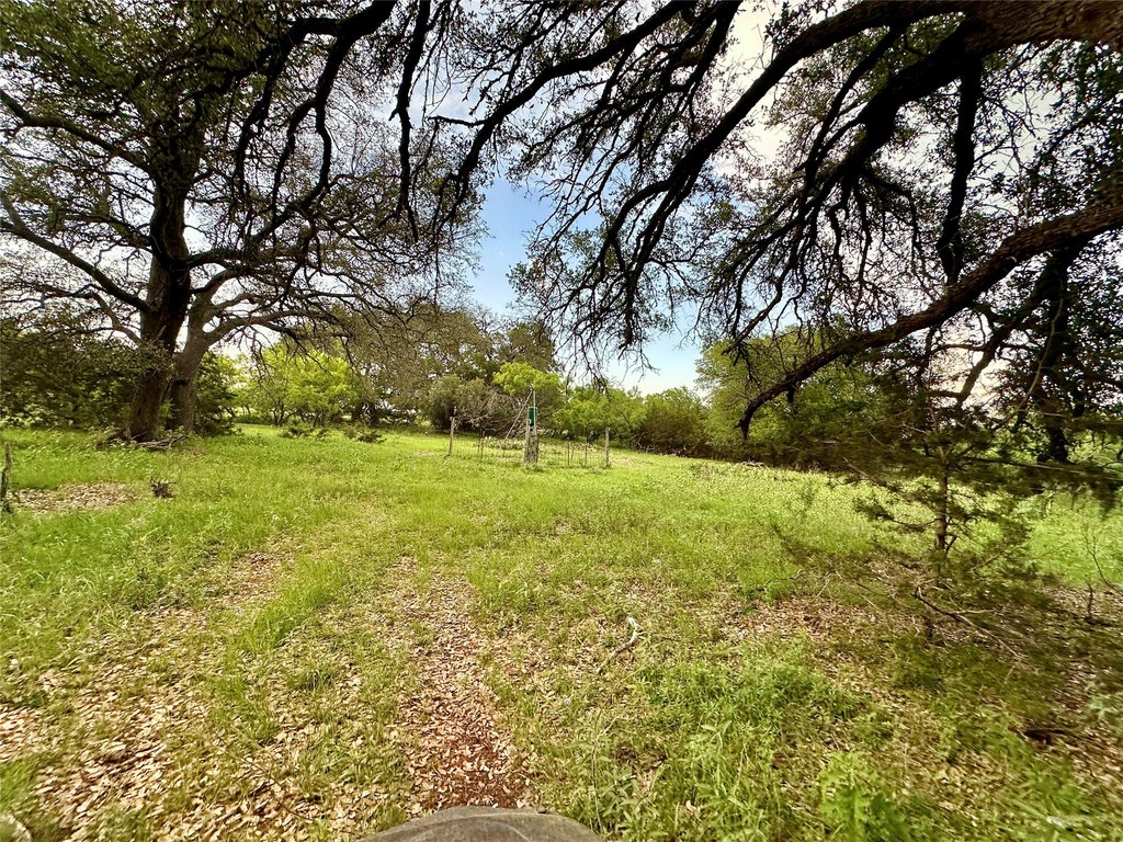Picture 33