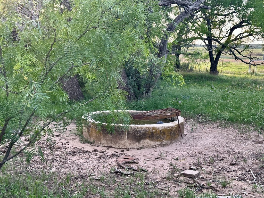 Picture 14
