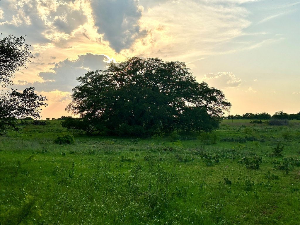 Picture 29