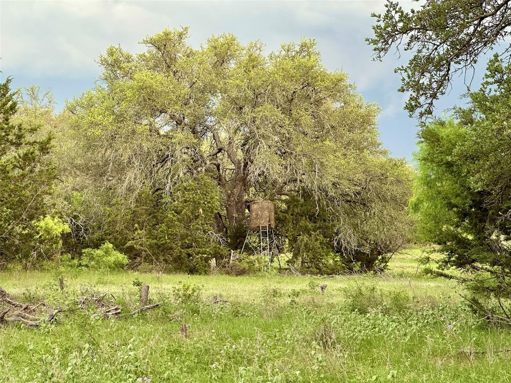 Picture 35