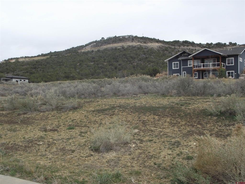 Land For Sale, Cedaredge, CO