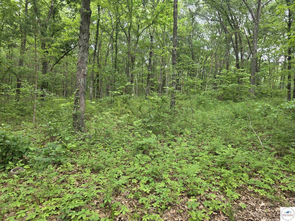 Picture 19